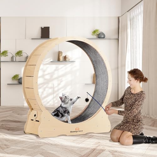 Cat Exercise Wheel for Indoor Cats (M / Natural Wood)