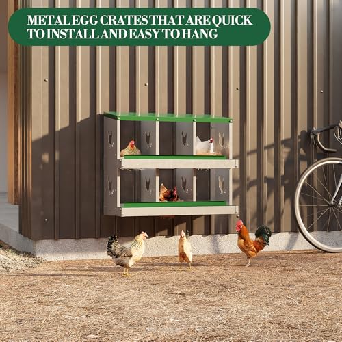 6 Hole Chicken Nesting Box with Roll Out Egg Tray