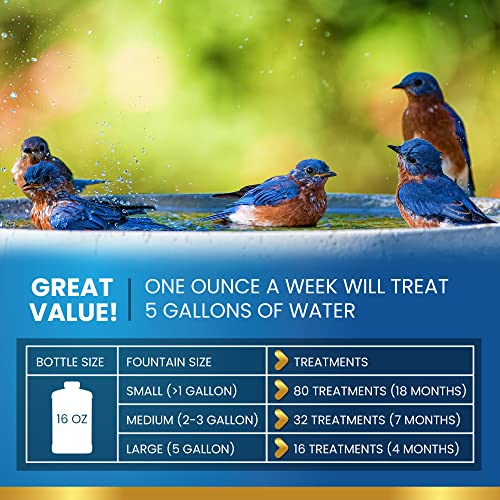 Bird Bath Cleaner Safe for Birds and Outdoor Water Fountains (8oz)