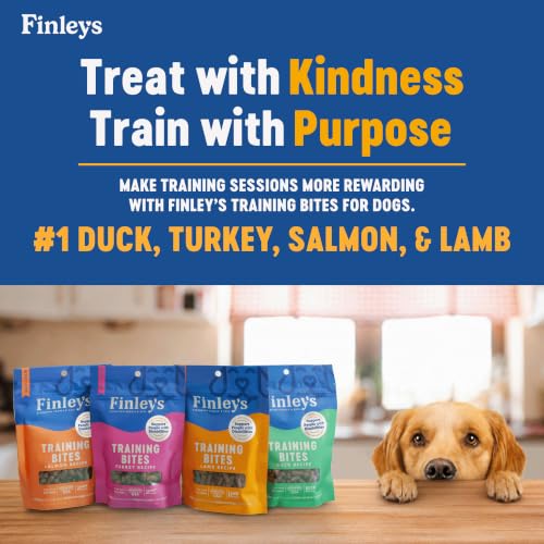 Training Treats Variety Soft Low Calorie Dog Treats (16 Ounce (Pack of 4))