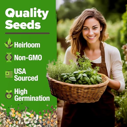 6 Herb Variety Pack 2650+ Seeds Extra Large Culinary Kit