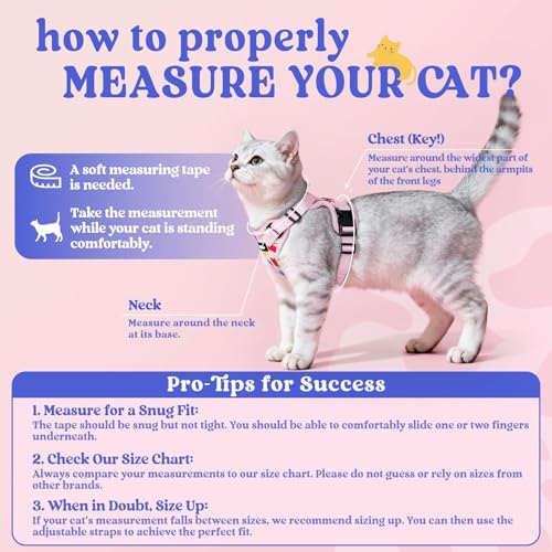 Cat Harness and Leash Set (Xxs / Purrty Pink)