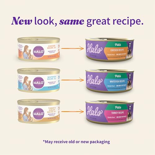 Pate Wet Cat Food