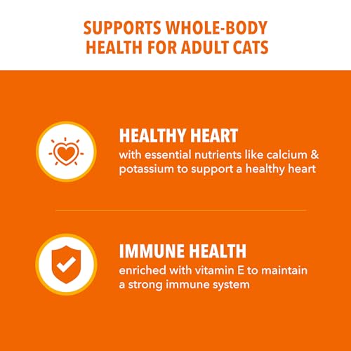 Proactive Health Healthy Adult Dry Cat Food (22 Pound (Pack of 1))
