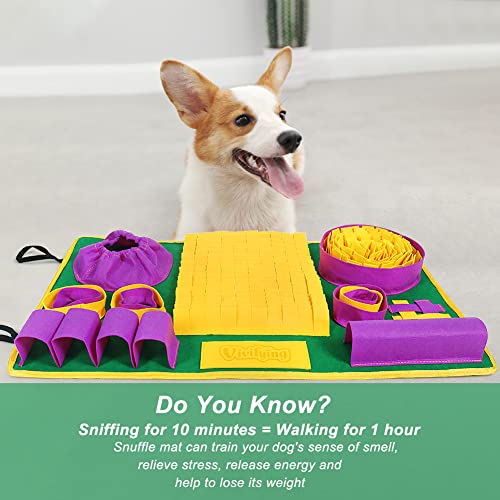Snuffle Mat for Dogs (Yellow Purple Green)