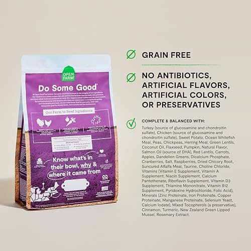 Grain Free Dry Dog Food (4 Pound (Pack of 1))