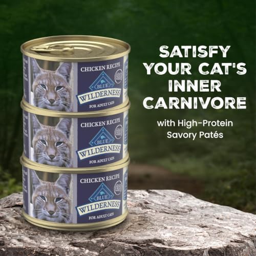 Wilderness Chicken Adult 7+ Wet Cat Food Paté (5.5 Ounce (Pack of 24))