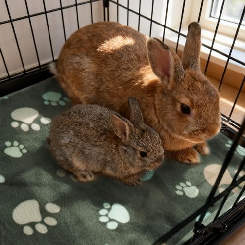 3 Pack Guinea Pig Cage Liner (47x24 Inch /3 Packs / Deep Color)