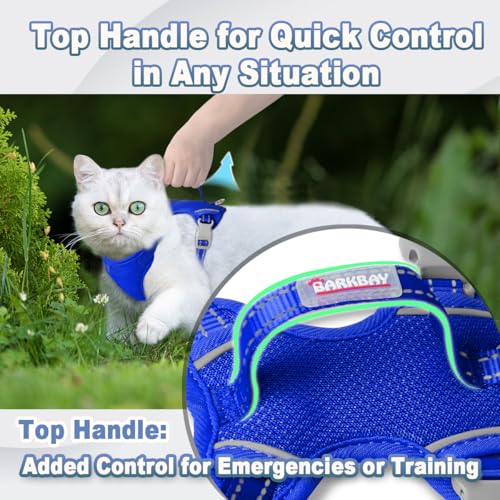 Cat Harness and Leash Set Escape Proof for Kitten Walking (Small / Sapphire Blue)