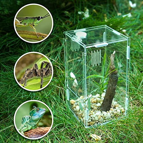 Small Acrylic Reptile Tank Habitat Locking Terrarium 4''x4''x8'' (Small)
