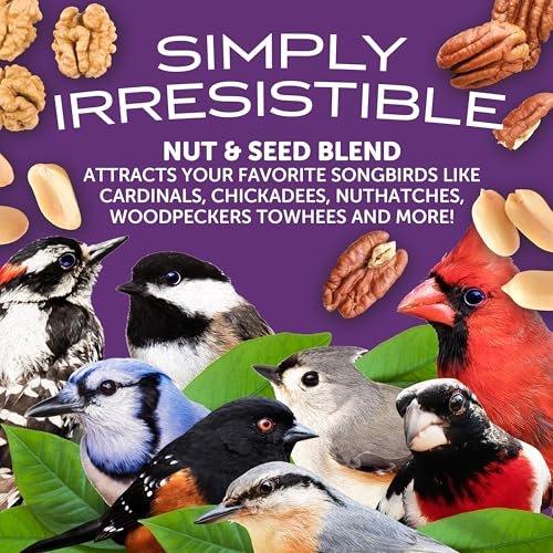 Ultra Double Nut (10 Pound (Pack of 1))