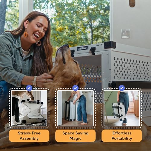 Impact Collapsible Dog Crate (Gray / 30.5"L x 20.5"W x 26.0"H)