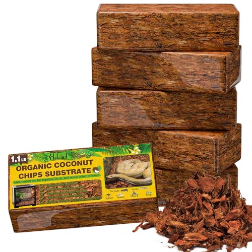 6 Pack Coconut Husk for Reptiles (6 Pack)