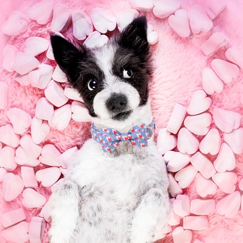 Valentine's Day Dog Collar with Bow Tie Red Blue Pink Heart Love Puppy Collar Best Gothic Style Gift for Small Medium Large Boys Girls (Small / love heart-bow)