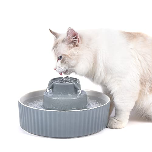 Pet Drinking Fountain