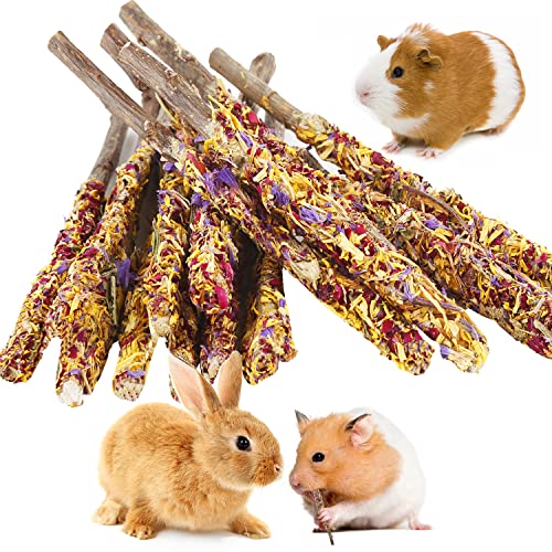 Bunny Chew Toys for Rabbits