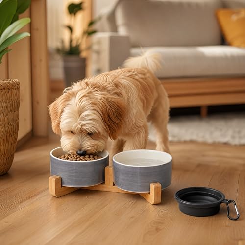 Ceramic Cat Dog Bowl Set with Wood Stand (Grey White / 400ML*2)