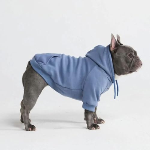 Dog Hoodie Buttery (Slate Blue / Large)