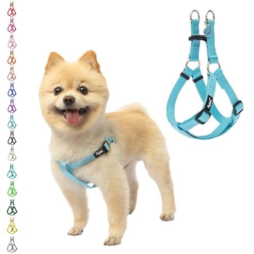 No Pull Dog Harness Small Sized Step (Light Blue / X-Small)