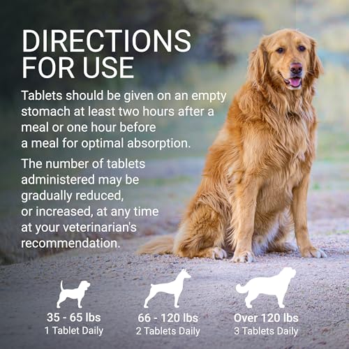 Nutramax Denosyl Liver & Brain Supplement for Large Dogs (Large Dog (Over 35 lbs))