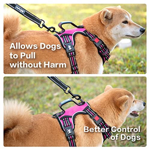 No Pull Dog Harness with 3 Leash Clips and Vertical Handle (Medium / Pink)
