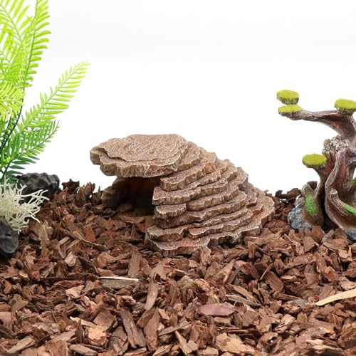 Gecko Hide Shale Scape Step Ledge (Small-7.3 * 4.4 * 3)