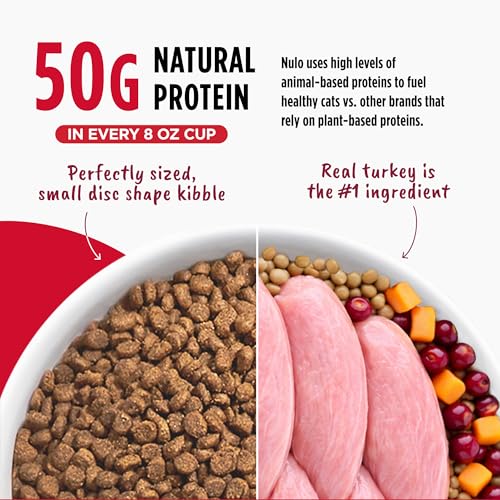 FreeStyle Cat & Kitten Dry Food (14 Pound (Pack of 1))