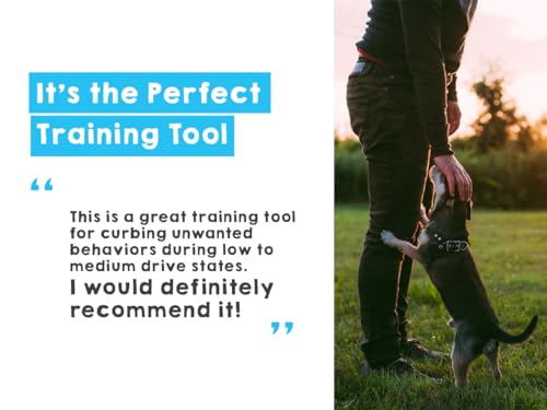 Ultrasonic Dog Bark Deterrent & Behavior Corrector (Black Rechargeable (1 Pack))