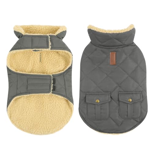 Dog Winter Coat (Large / Grey)