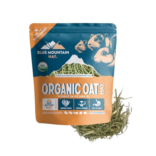 Organic Oat Hay for Small Pets (1.5 Pound (Pack of 1))