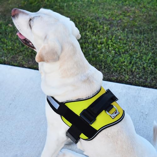 Dog Harness Reflective No (Lime Green / Girth 22" to 28")