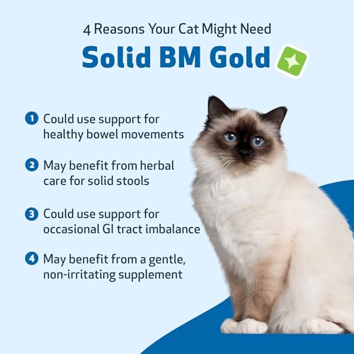 Solid BM Gold for Cats