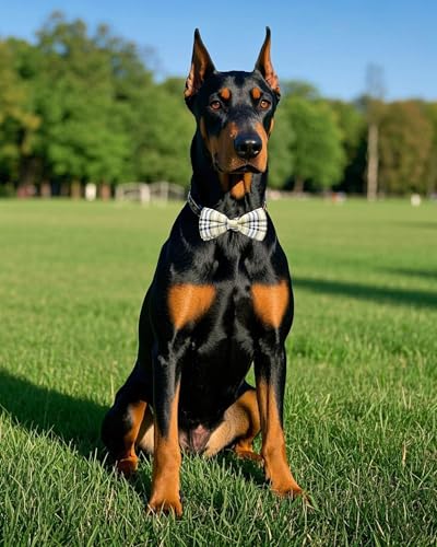 5 Pack Dog Bowties Plaid for Large Dogs Slide on Collar (M/L)