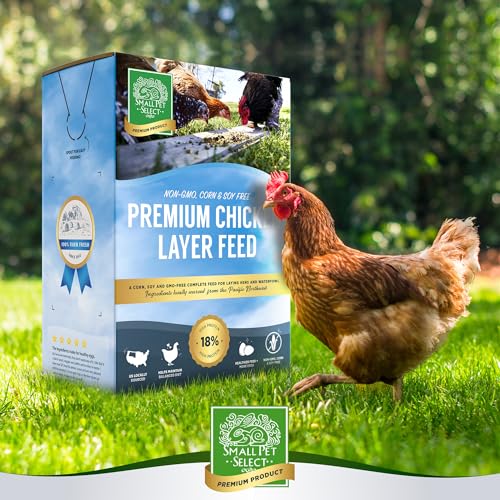 Chicken Layer Feed (10 Pound (Pack of 1))
