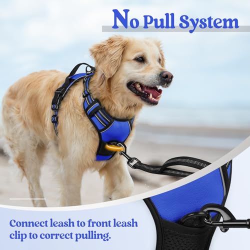 Dog Harness No Pull Medium Sized with 2 Leash Clips (Medium / Dazzling Blue)
