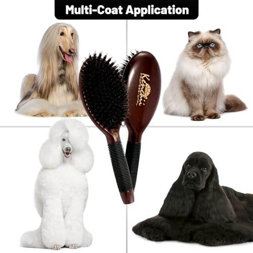 Dog & Cat Grooming Brush (Large)