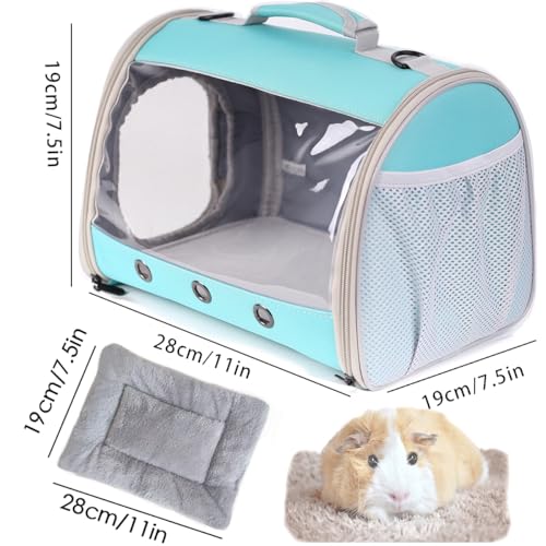 Bearded Dragon Travel Carrier Backpack (Green)