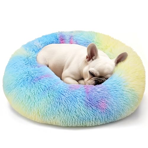 Dogs Bed for Small Dogs (Rainbow / 24.0"L x 24.0"W x 8.0"Th)