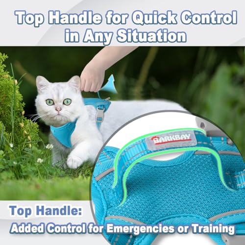 Cat Harness and Leash Set Escape Proof for Kitten Walking (XX-Small / Blue)
