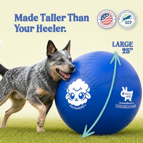25" Original Herding Ball for Dogs (Ocean - L 25" Herding Ball Set / L 25")