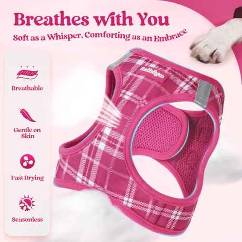 Dog Harness Small Sized and Leash Set (Rose Red Plaid / Xxs (chest: 12.4 - 14.2"))