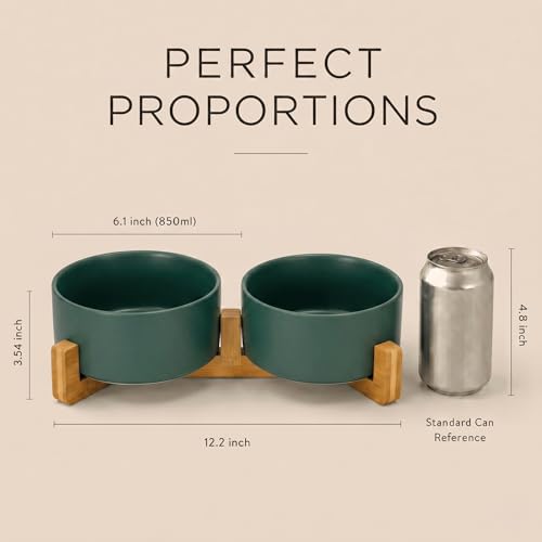 Ceramic Dog and Cat Bowl with Wood Stand Non (3.6 cups / Green × 2)