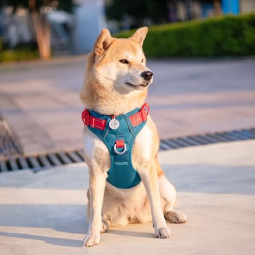 No Pull Dog Harness (Teal Base & Red Straps / Large)
