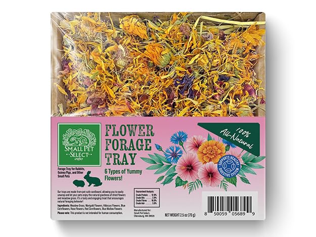 Forage Tray Bundle