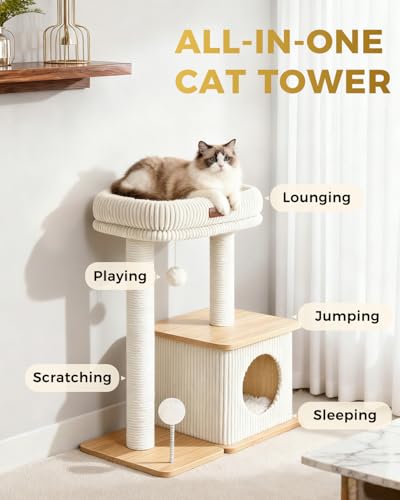Small Cat Tree for Indoor Kittens (Ash White / Medium)