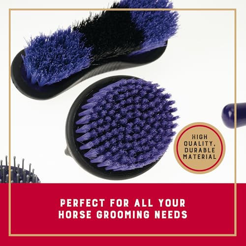 6 Piece Horse Grooming Kit (Purple/Black)