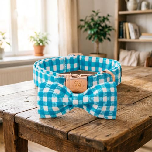 Dog Collar Boy Blue Gingham Plaid Dog Collar with Bow (Blue Gingham Plaid / Small (Pack of 1))