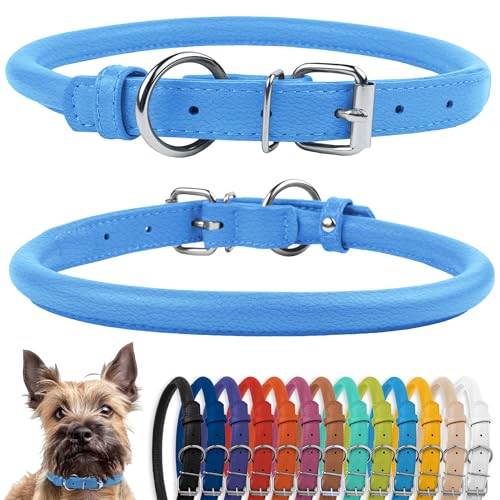 Tangle Free Rolled Leather Dog Collar (Light Blue / XS)