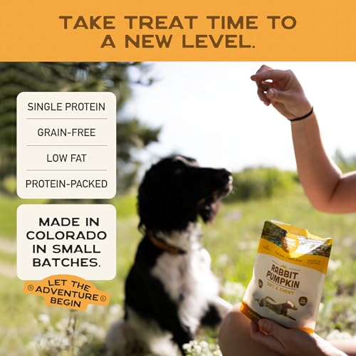 Healthy Soft Dog Treats (5 Ounce (Pack of 1))