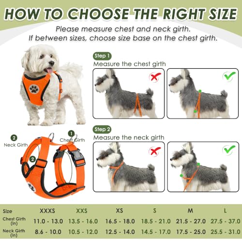 Dog Seat Belt and Harness for Car (Orange / XX-Small)